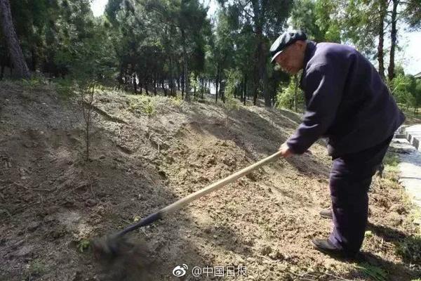 最终幻想15亚丹哪里买优惠